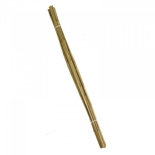 150cm Bamboo Canes Bundle 20