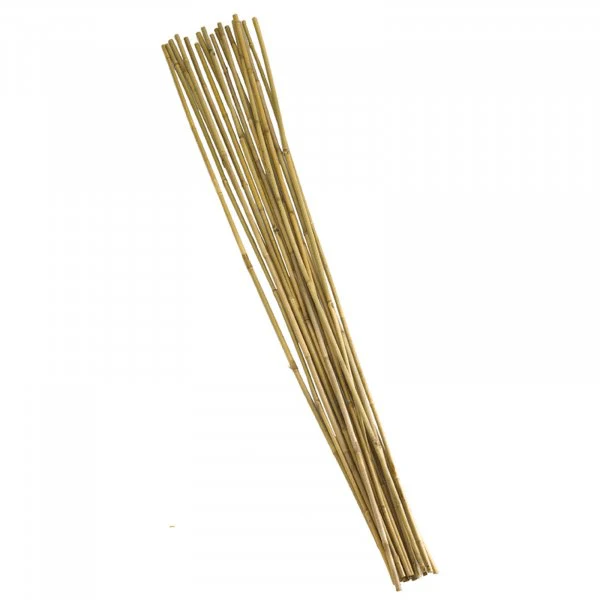 150cm Bamboo Canes Bundle 20 - Image 2