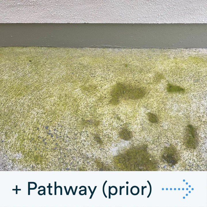 Actiwash Pro: Professional Softwash Biocide 5L Mosskiller - Image 5