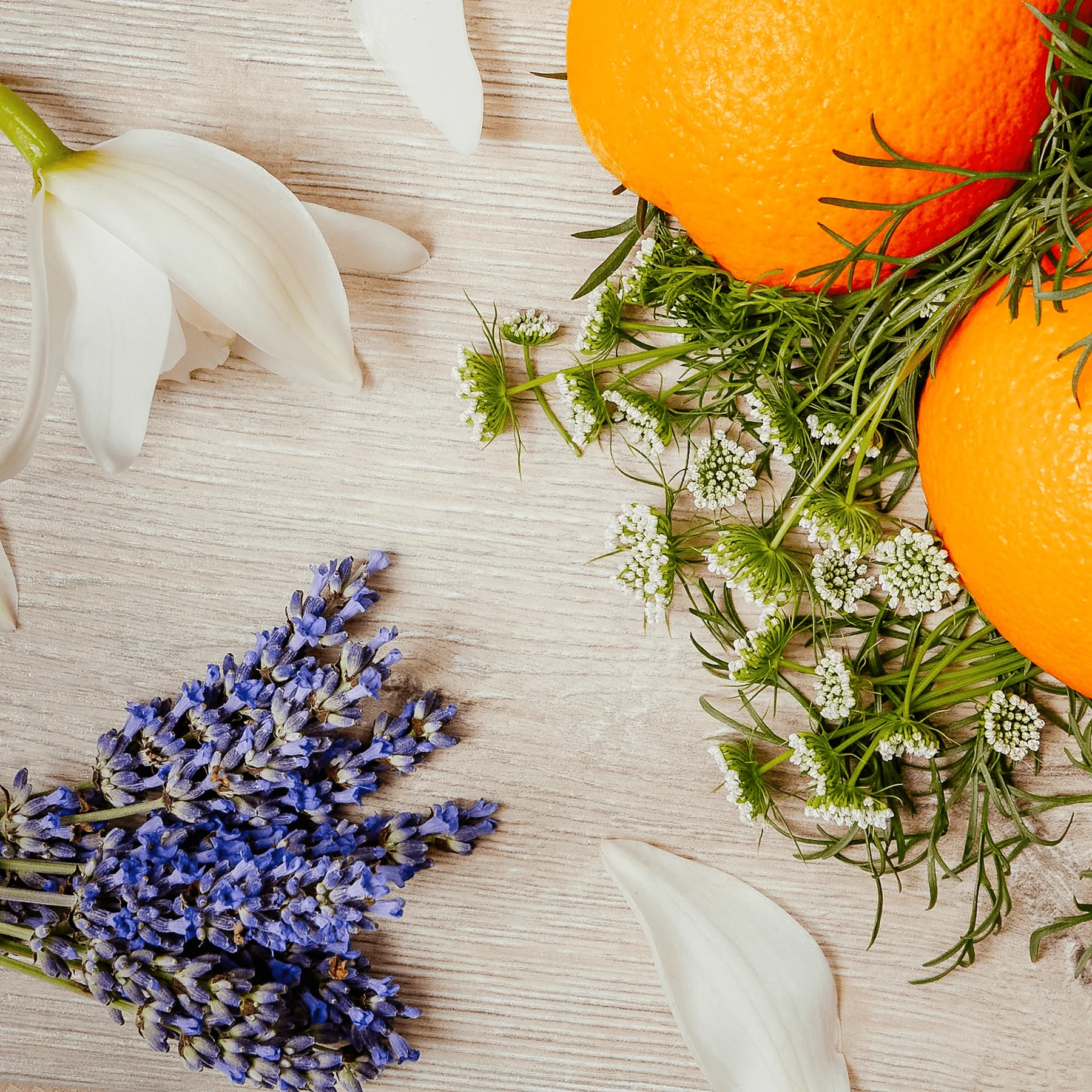 Brooke & Shoals Scented Candle - Neroli Blossom & Lavender - Image 2