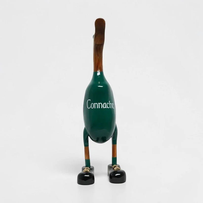 Connacht Duck