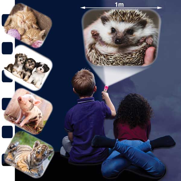 Cute & Cuddly Torch and Projector - Image 2