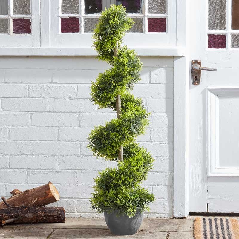 Cypress Topiary Twirl