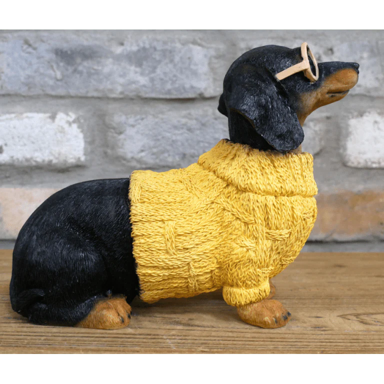 Dachshund Dog in Sweater - Image 2