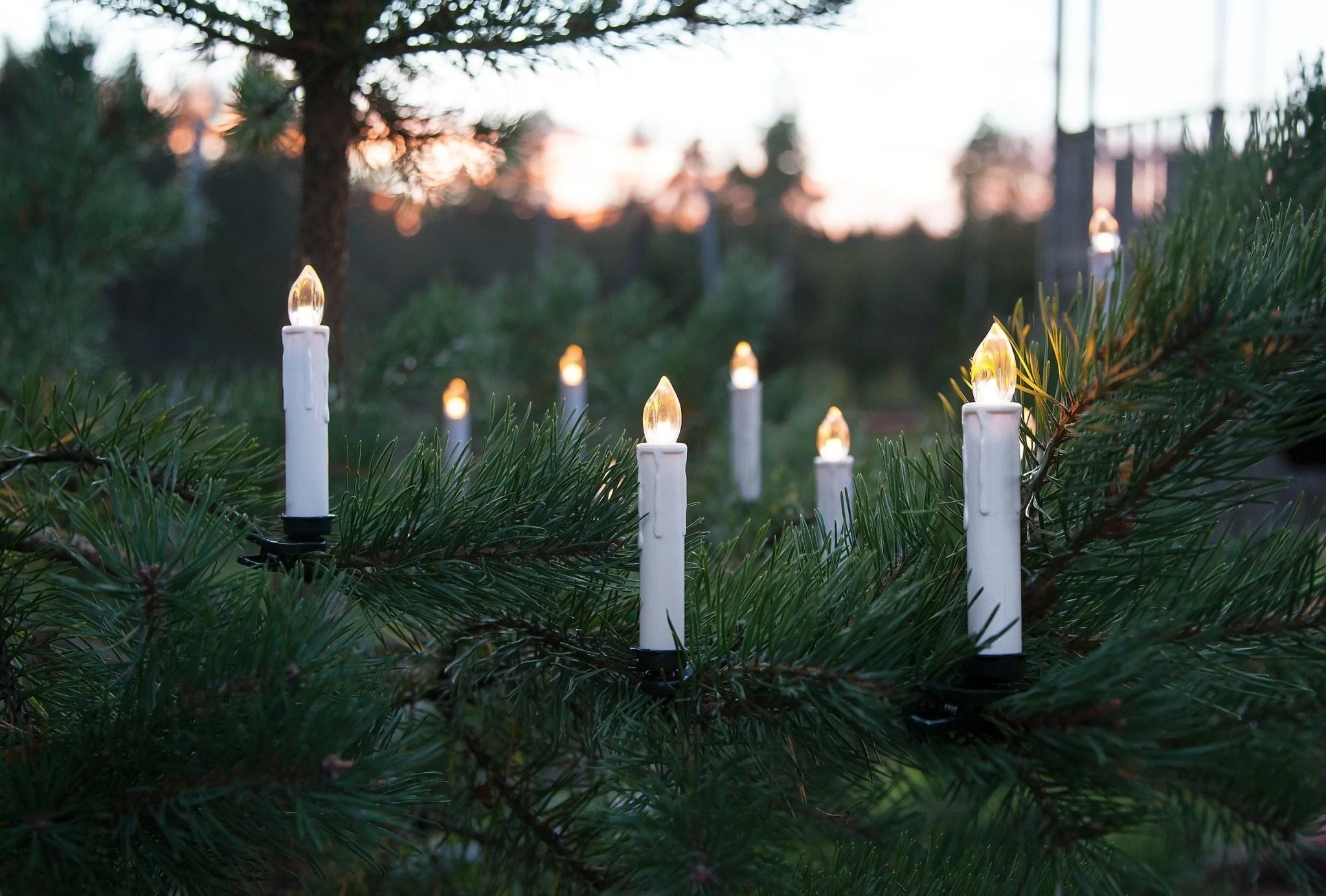 Eglo Set Of 10 Led Candle Tree Lights With Clips & Remote 13cm - Image 2