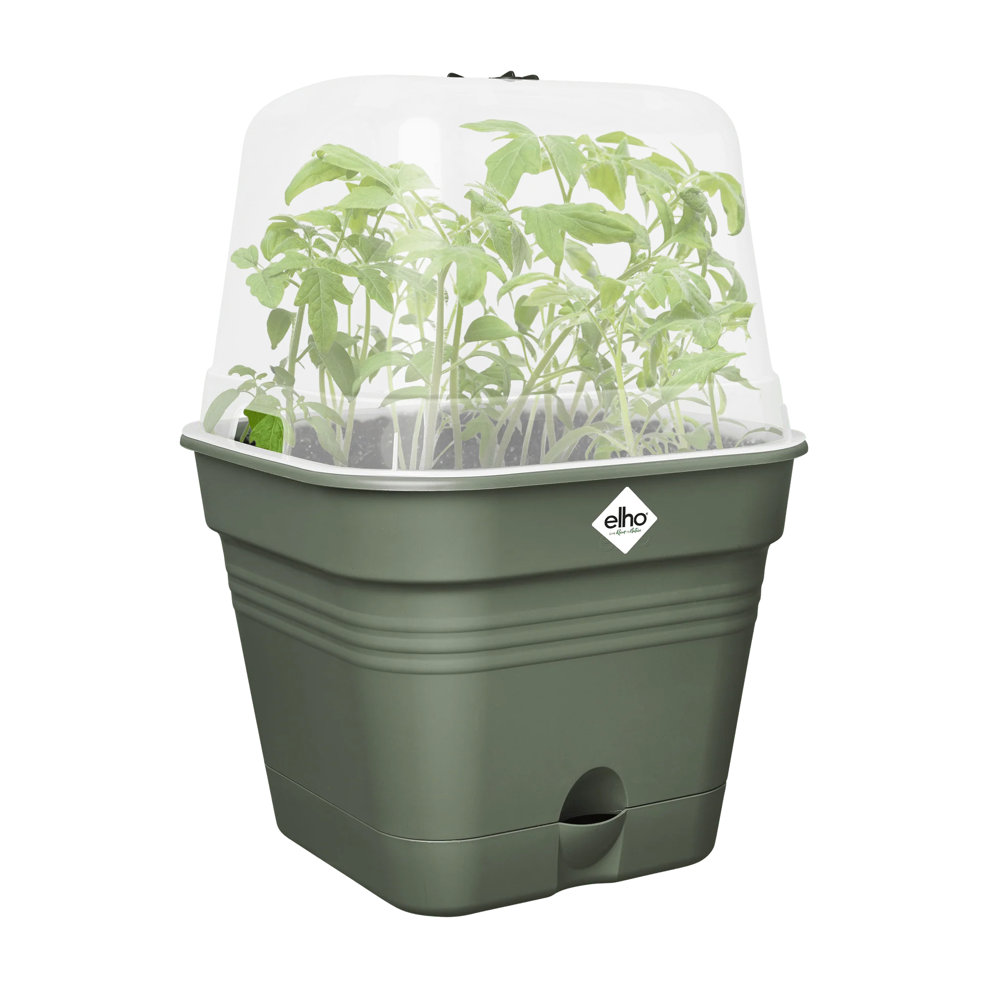 Elho Green Basics Growpot Square All-in-1 25cm Leaf Green - Image 4