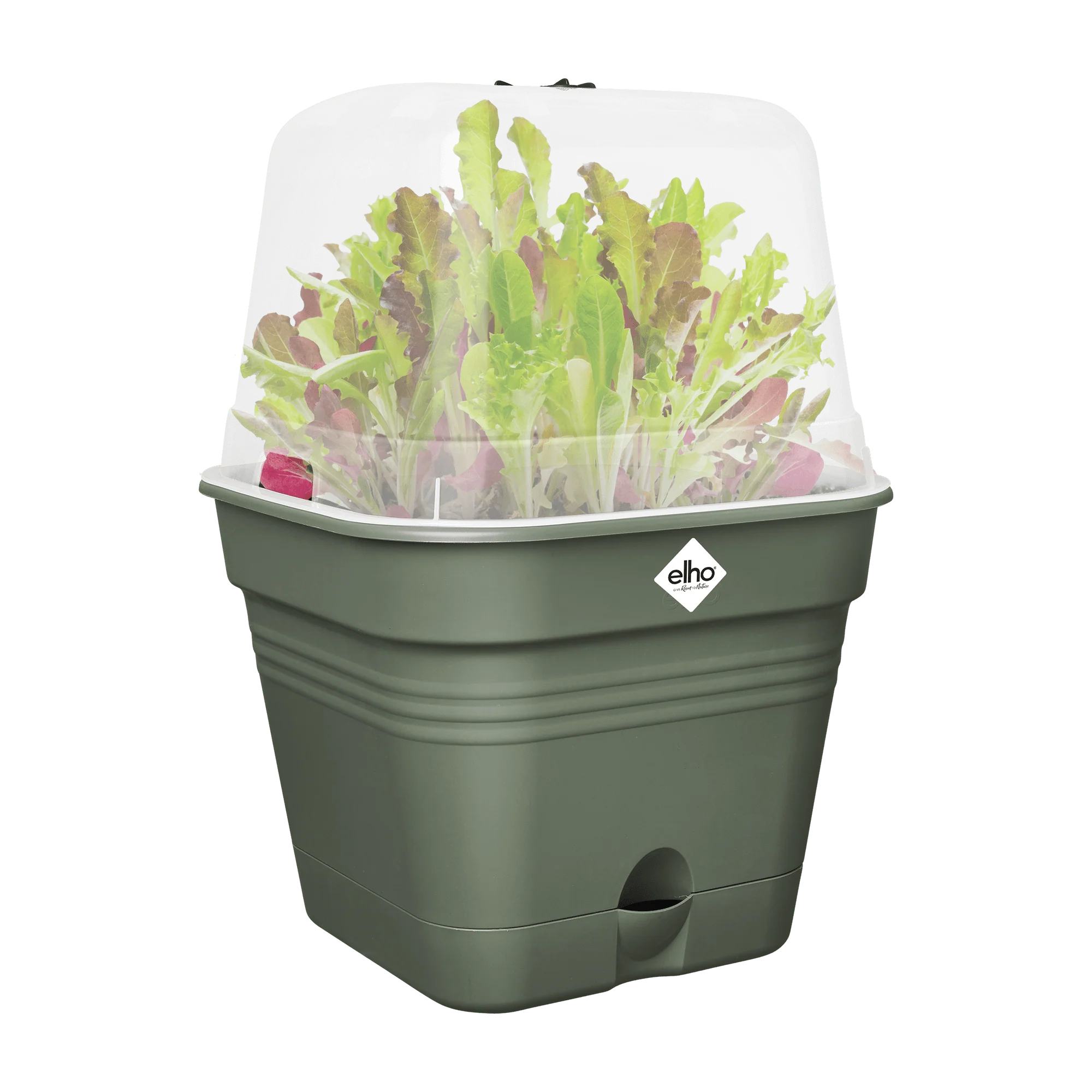 Elho Green Basics Growpot Square All-in-1 25cm Leaf Green - Image 5