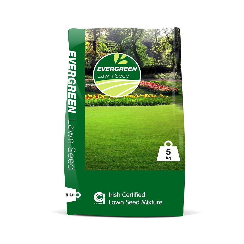 Evergreen Lawn Seed 5Kg No2