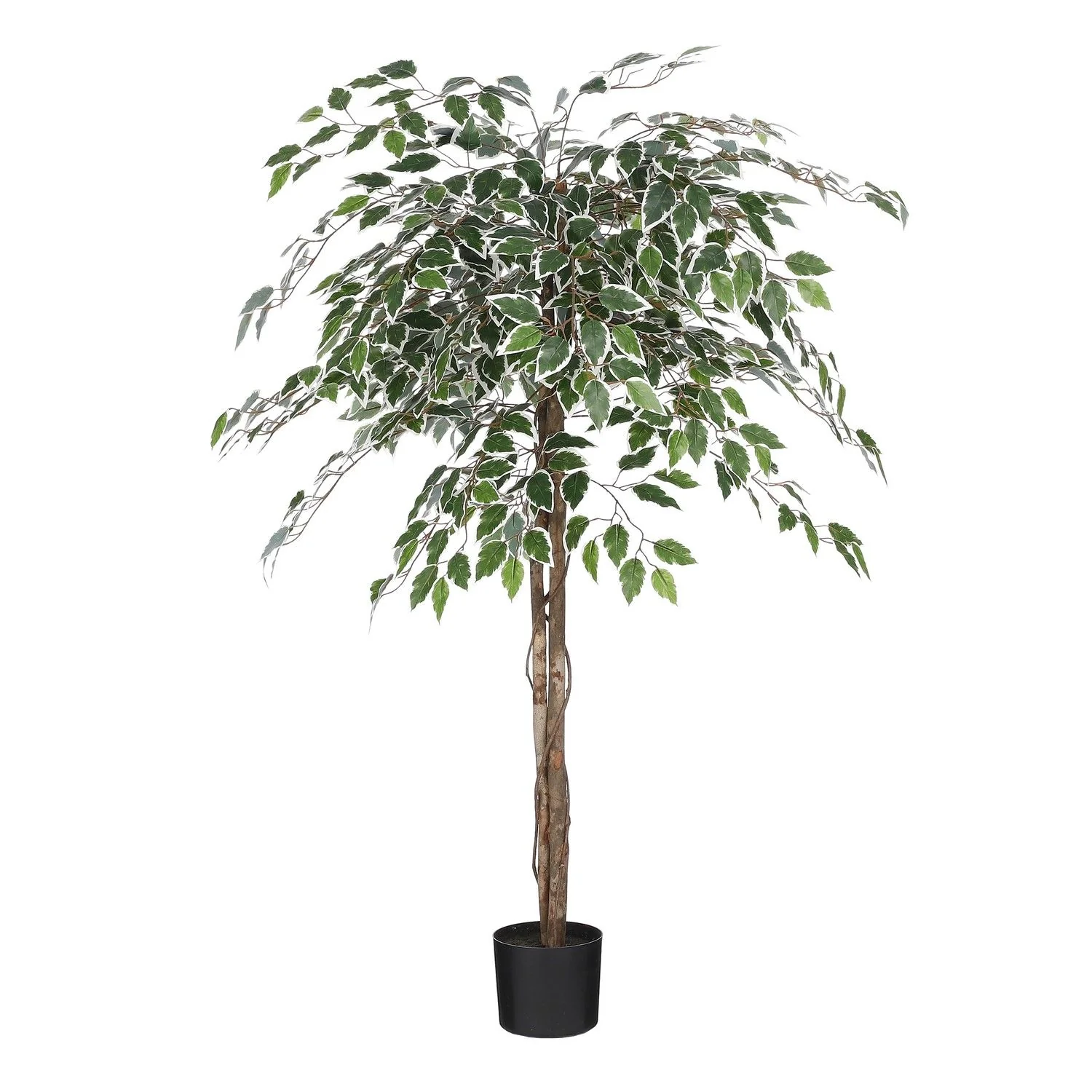 Ficus Artificial Plant in Pot 150cm - Green Variegated