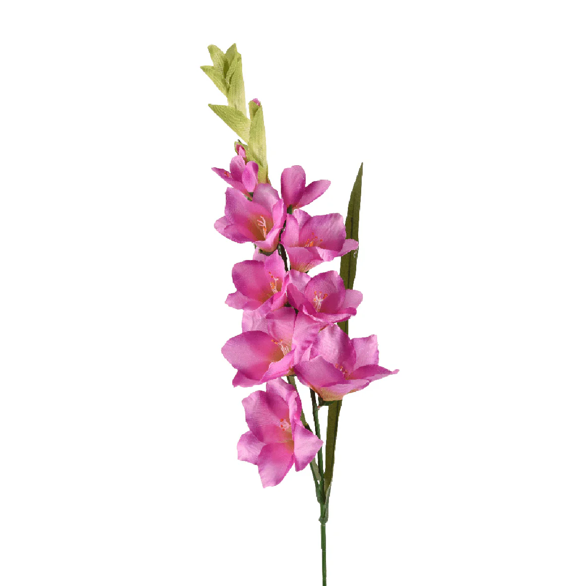Gladiolus Flower on Stem Polyester Fuchsia Pink