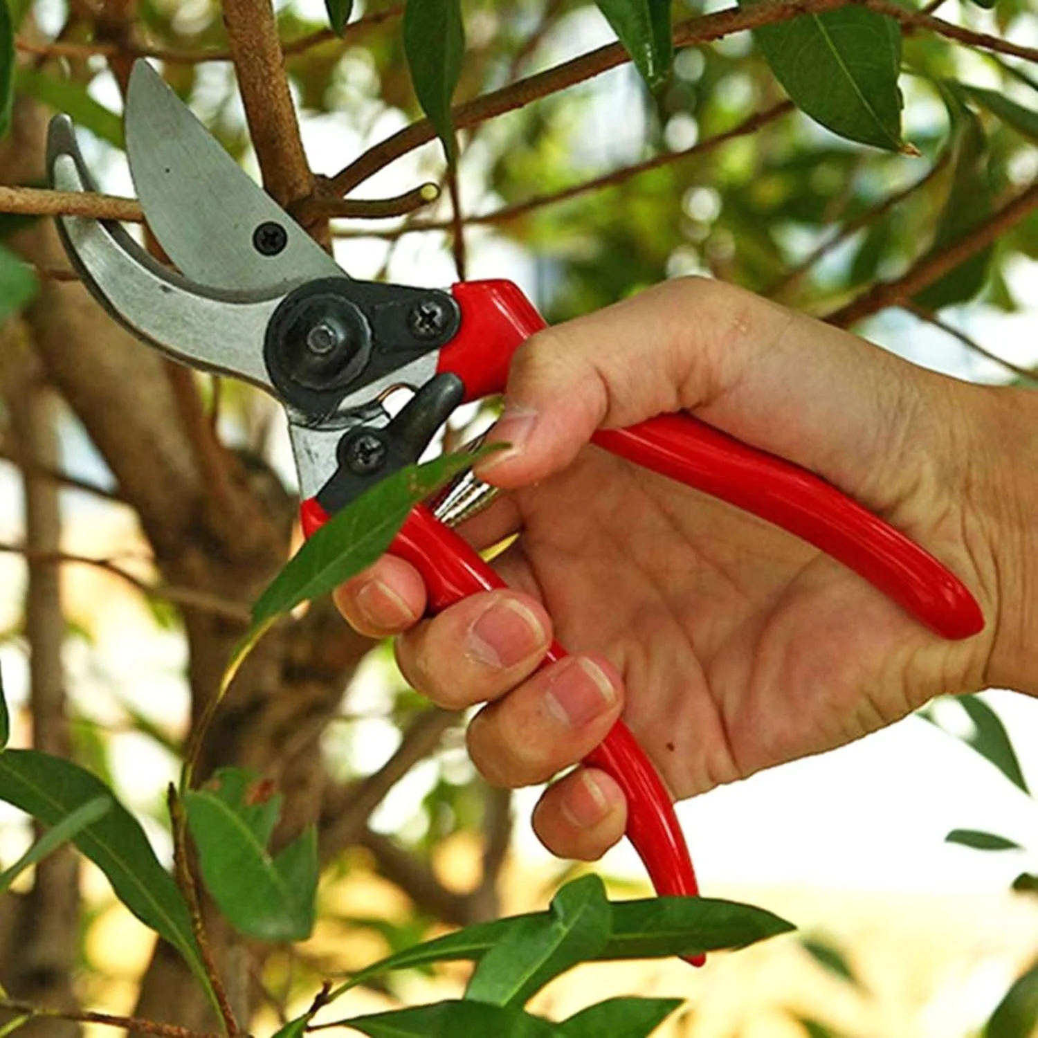 Green Blade Pruning Shears 8" - Image 2