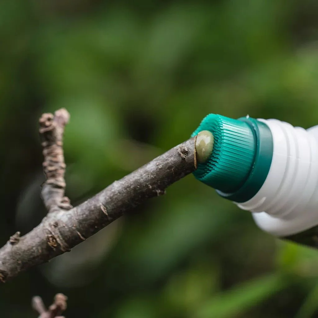 Growing Success Prune & Seal 250ml - Image 3