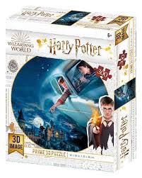 Harry Potter Harry & Ron Flying Over Hogwarts 300Pce 3D Puzzle