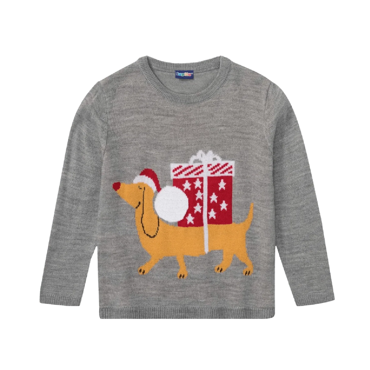 Kids Christmas Jumper Dog with Present Age 4-6