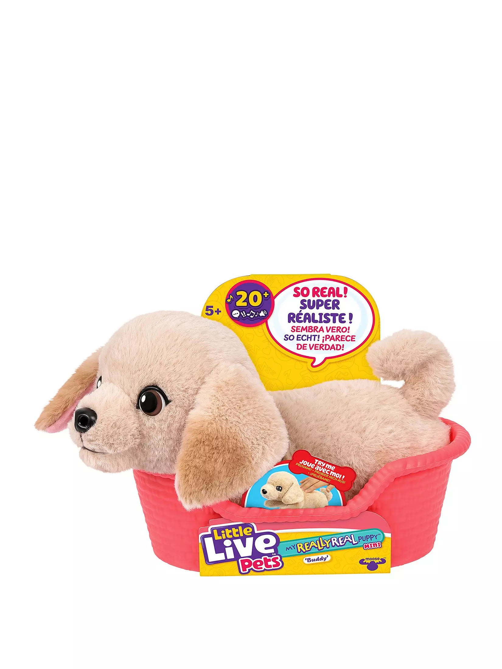 Llp My Really Real - Puppy Mini