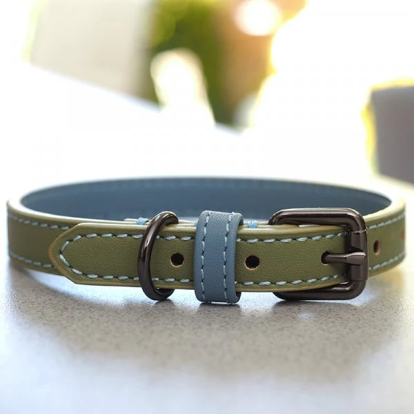 Luxe Leather - Sage - S WalkAbout Dog Collar (28cm-40cm)