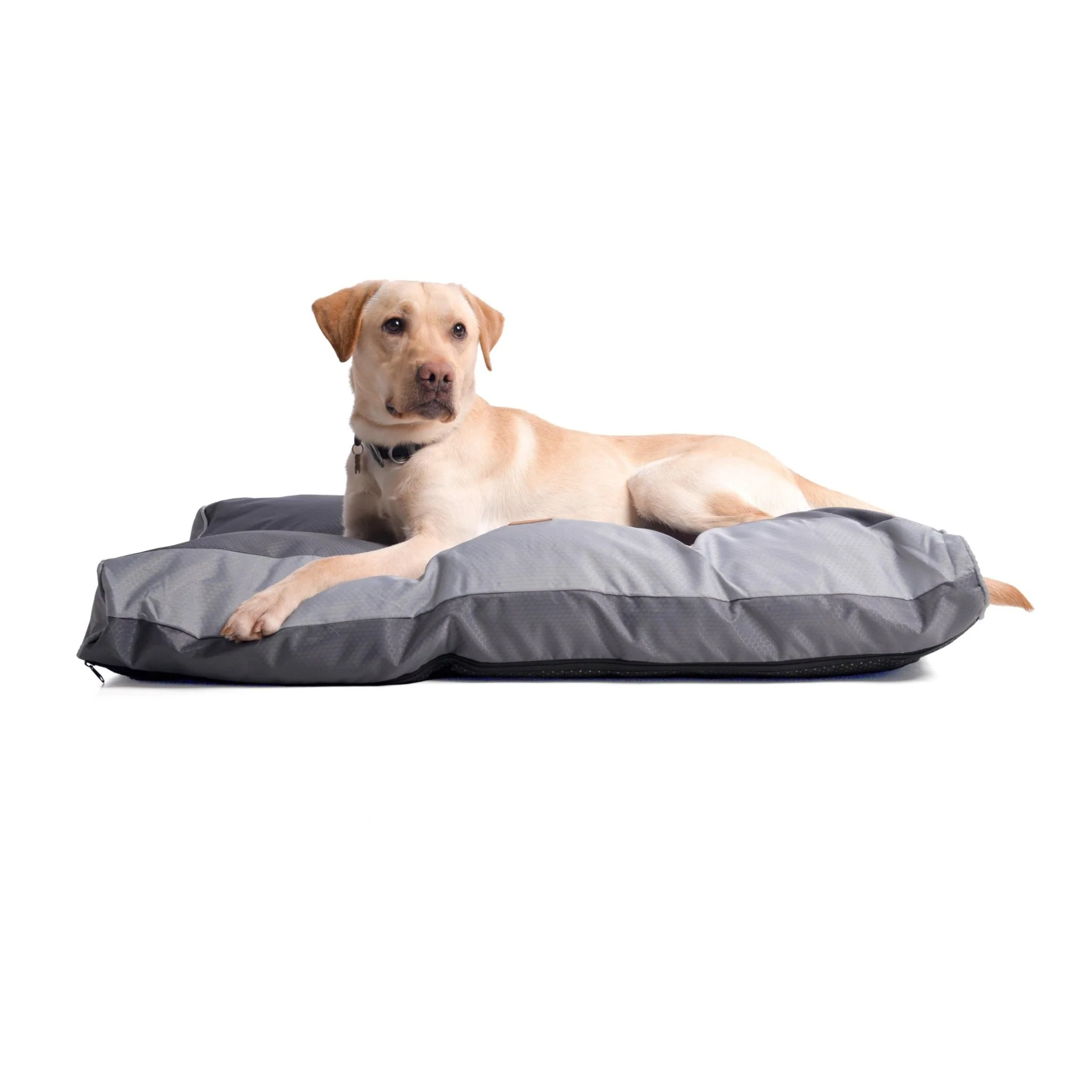 Malvern Design Heavy Duty Dog Bed 100x70cm – Grey