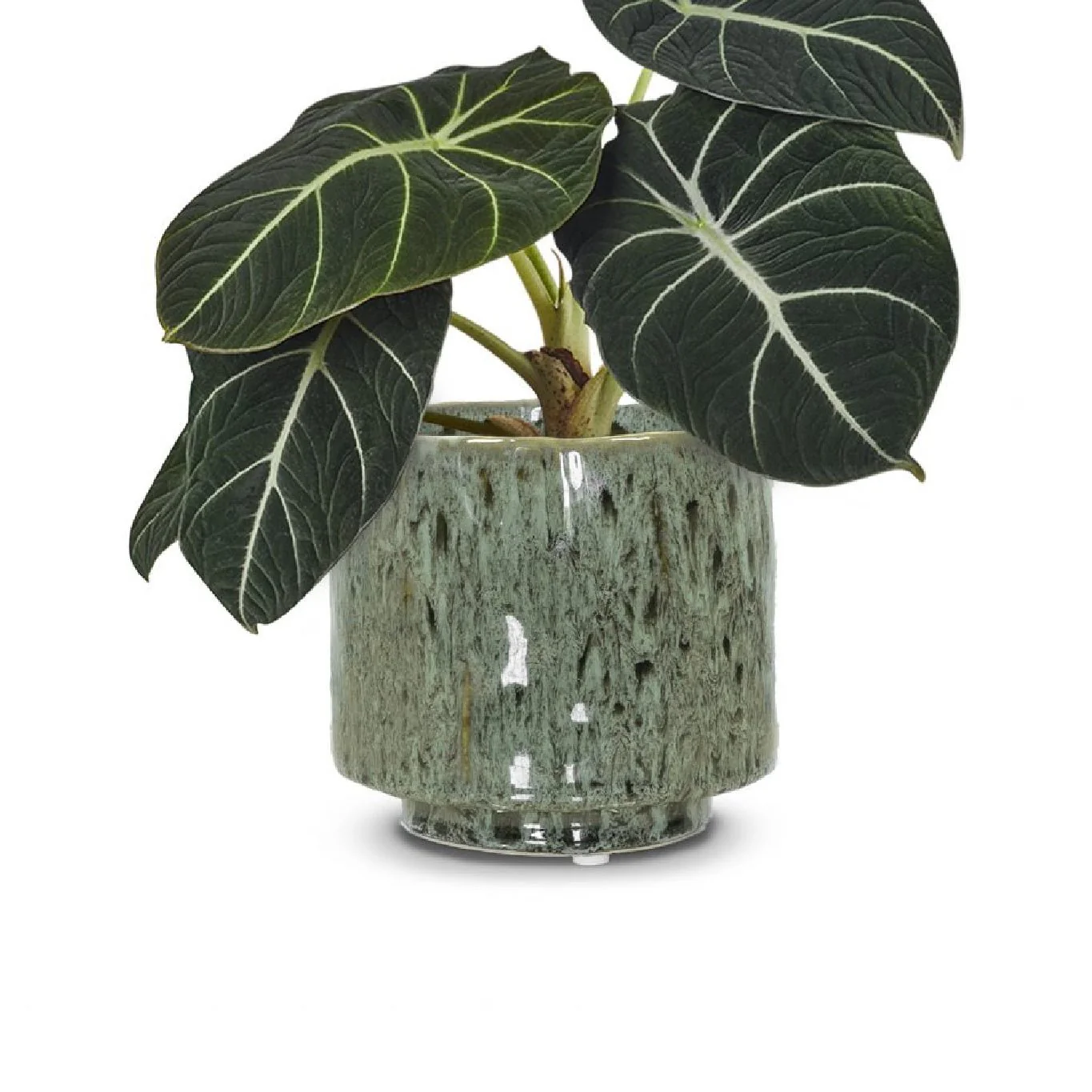 Mös Planter Pot 16cm - Image 2