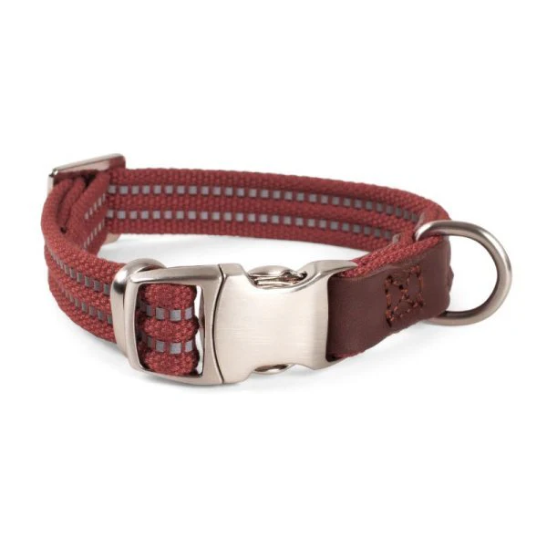 Primo - Burgundy - Large - Walkabout Dog Collar (43cm-71cm)