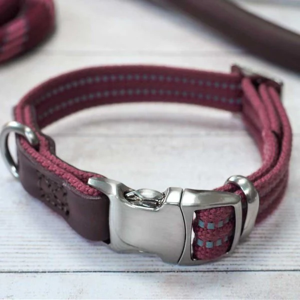 Primo - Burgundy - Large - Walkabout Dog Collar (43cm-71cm) - Image 2