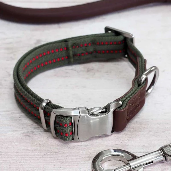 Primo - Olive - Small - Walkabout Dog Collar (23cm-36cm)