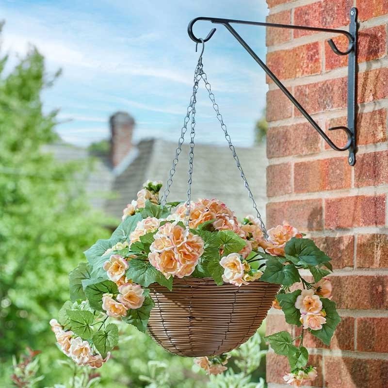 Regal Hanging Basket – Begonia Blooms