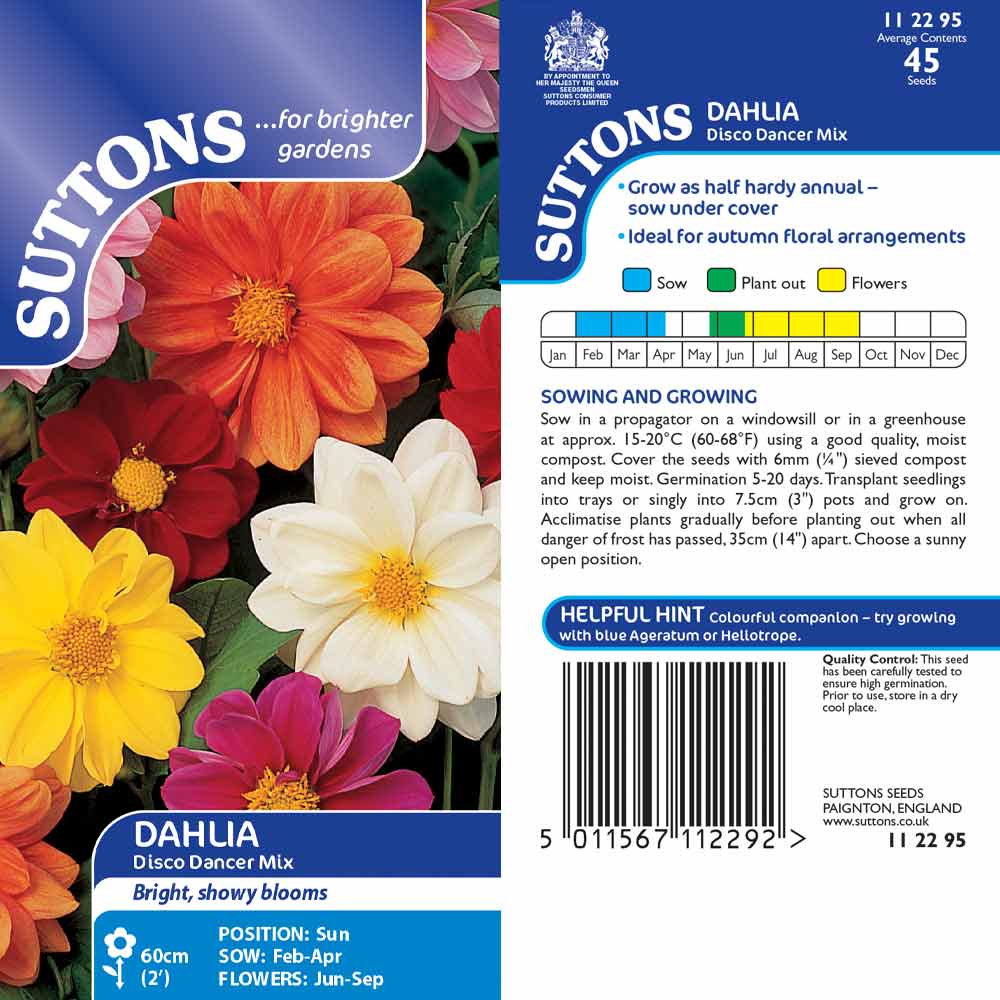 Suttons Dahlia Seeds - Disco Dancer Mix