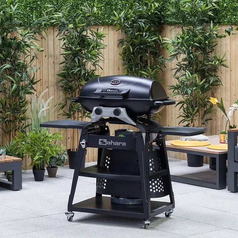 Sahara Storm 2 Burner Gas Barbecue - Image 3