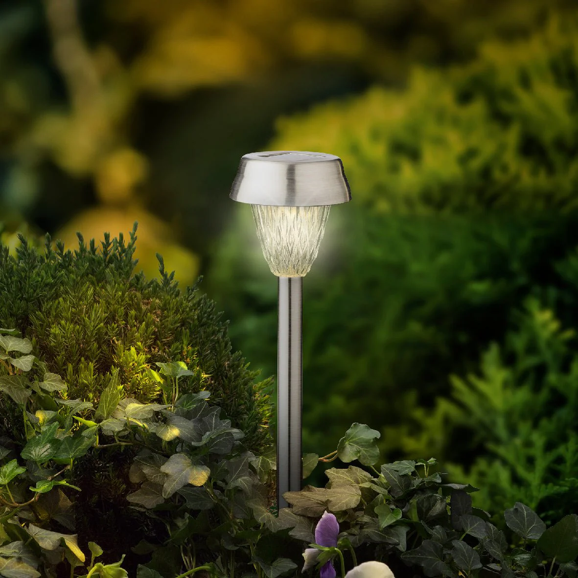 Set of 4 26cm Clear Solar Stake Lights - Image 2