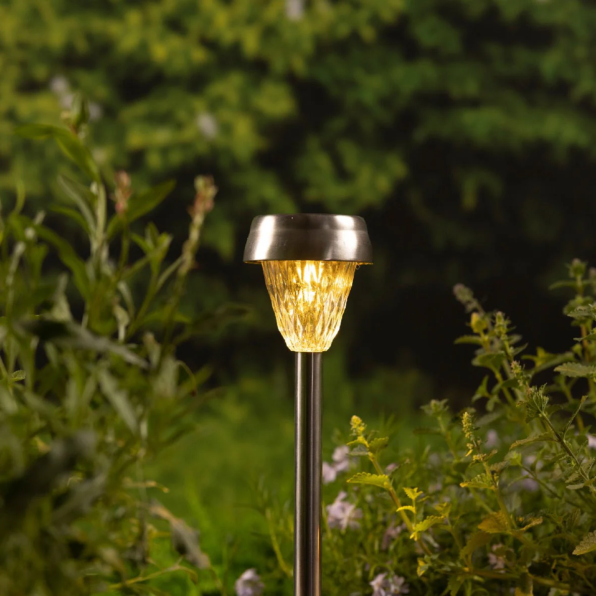Set of 4 26cm Clear Solar Stake Lights - Image 4