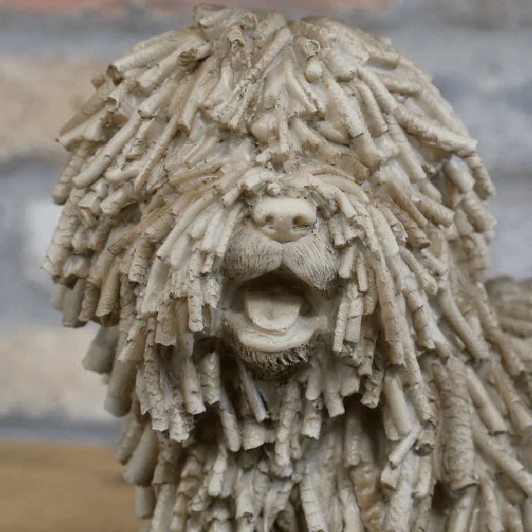 Shaggy Dog - Image 2