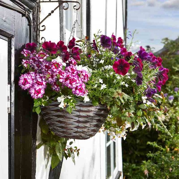 Smart Garden Pinto Faux Rattan Hanging Basket - 14in