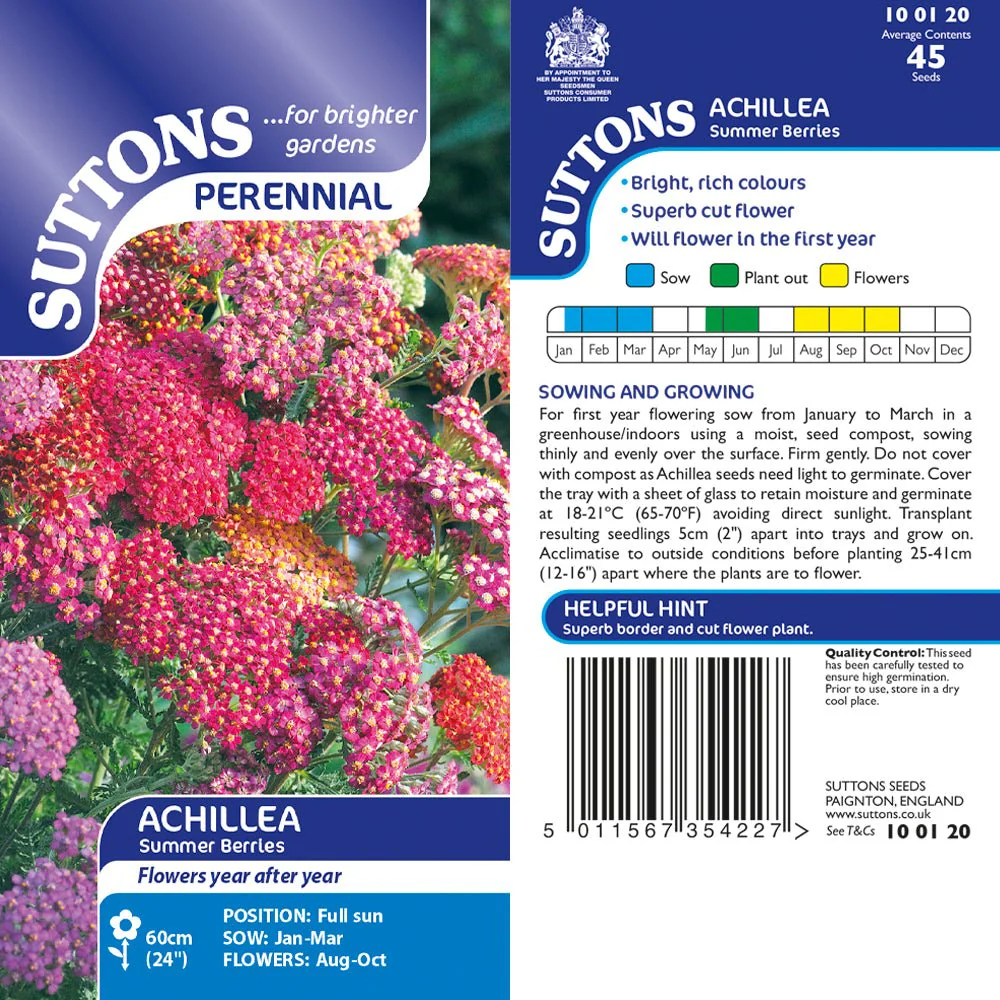 Suttons Achillea Summer Berries G100120 - Image 2