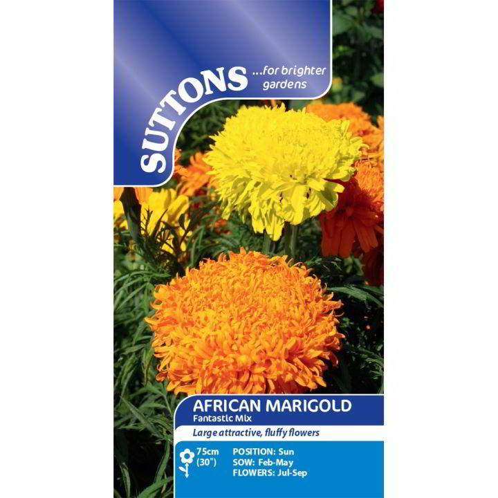 Suttons African Marigold Fantastic Mixed