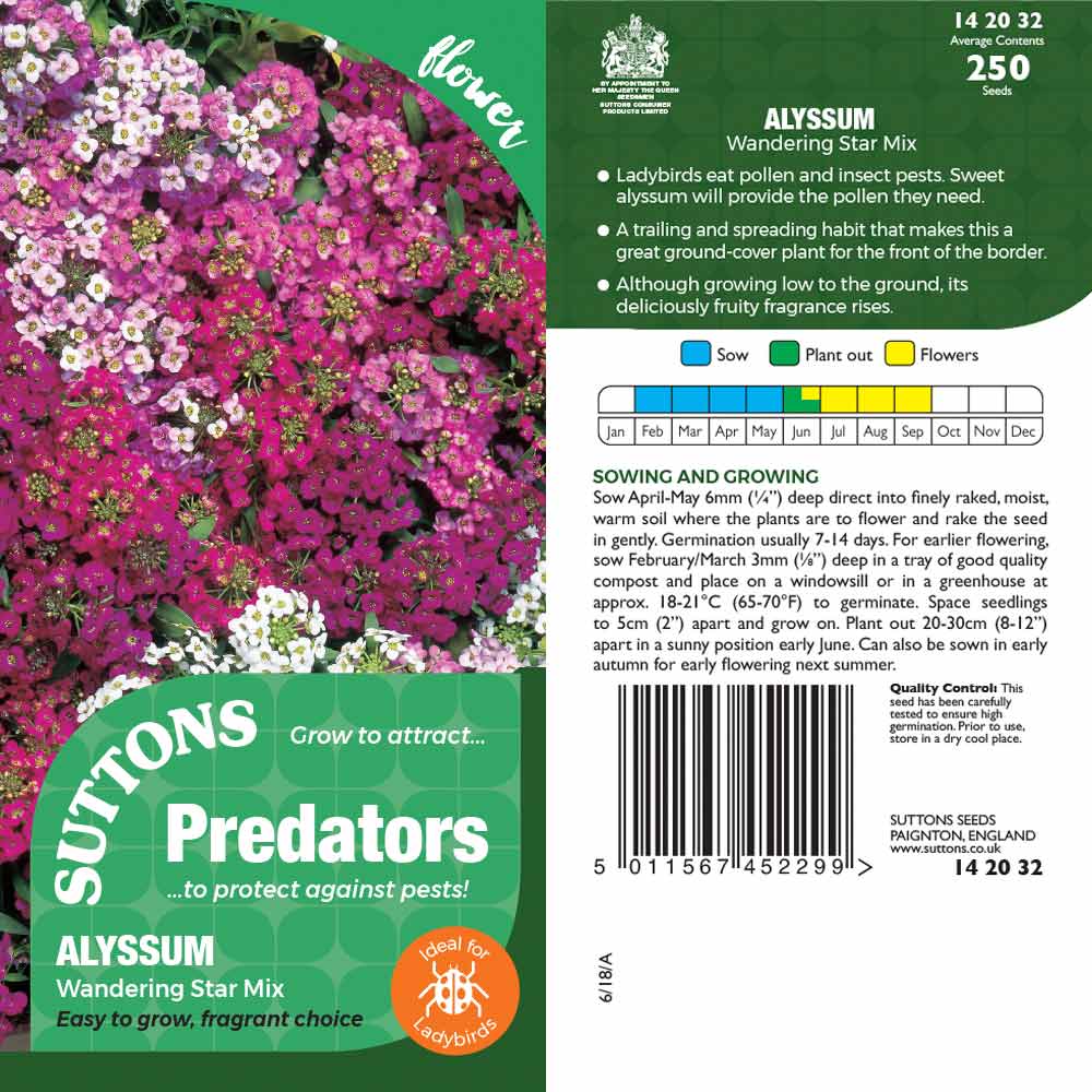 Suttons Alyssum Wanderingstar Pp