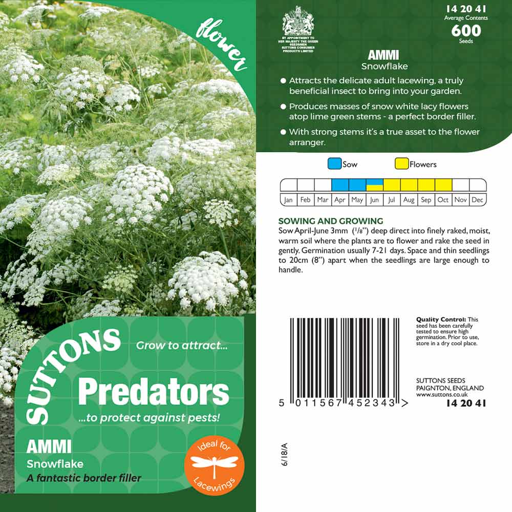 Suttons Ammisnowflake Pp - Image 2