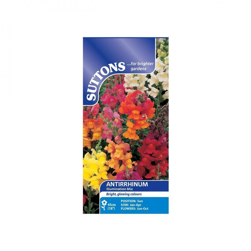 Suttons Antirrhinum Illumination Mix 102410 - Image 2