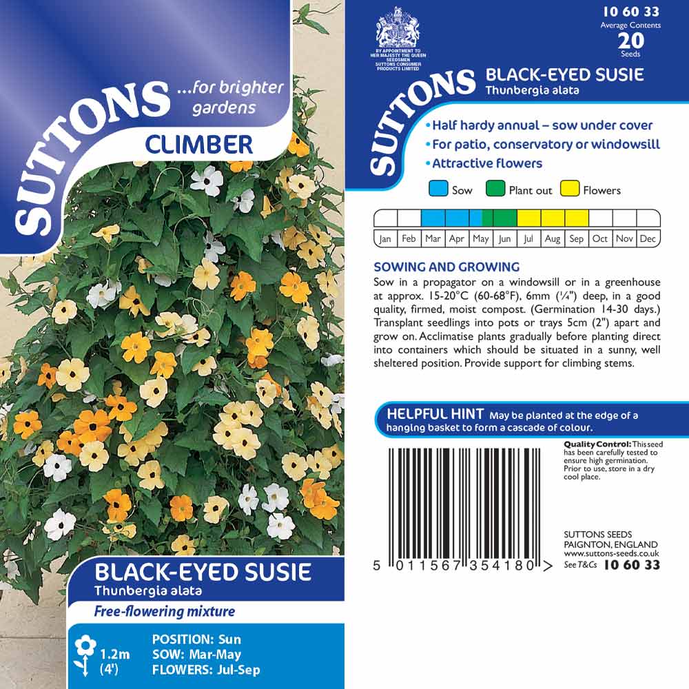 Suttons Black-Eyed Susie - Image 2