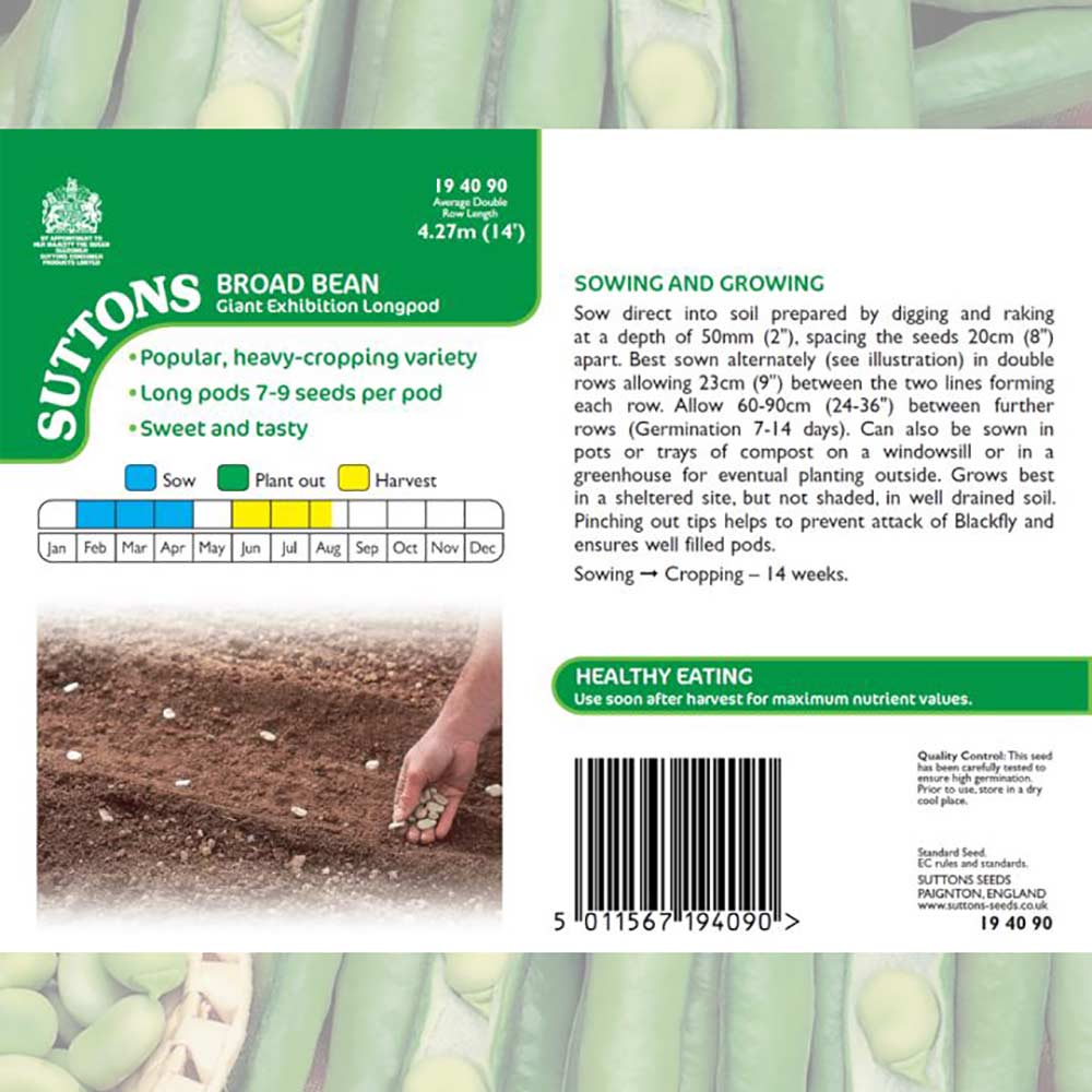Suttons Broad Bean Giant Exhibition Longpod G194090 - Image 2