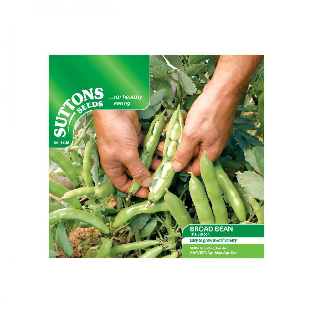 Suttons Broad Bean The Sutton Dwarf 194694