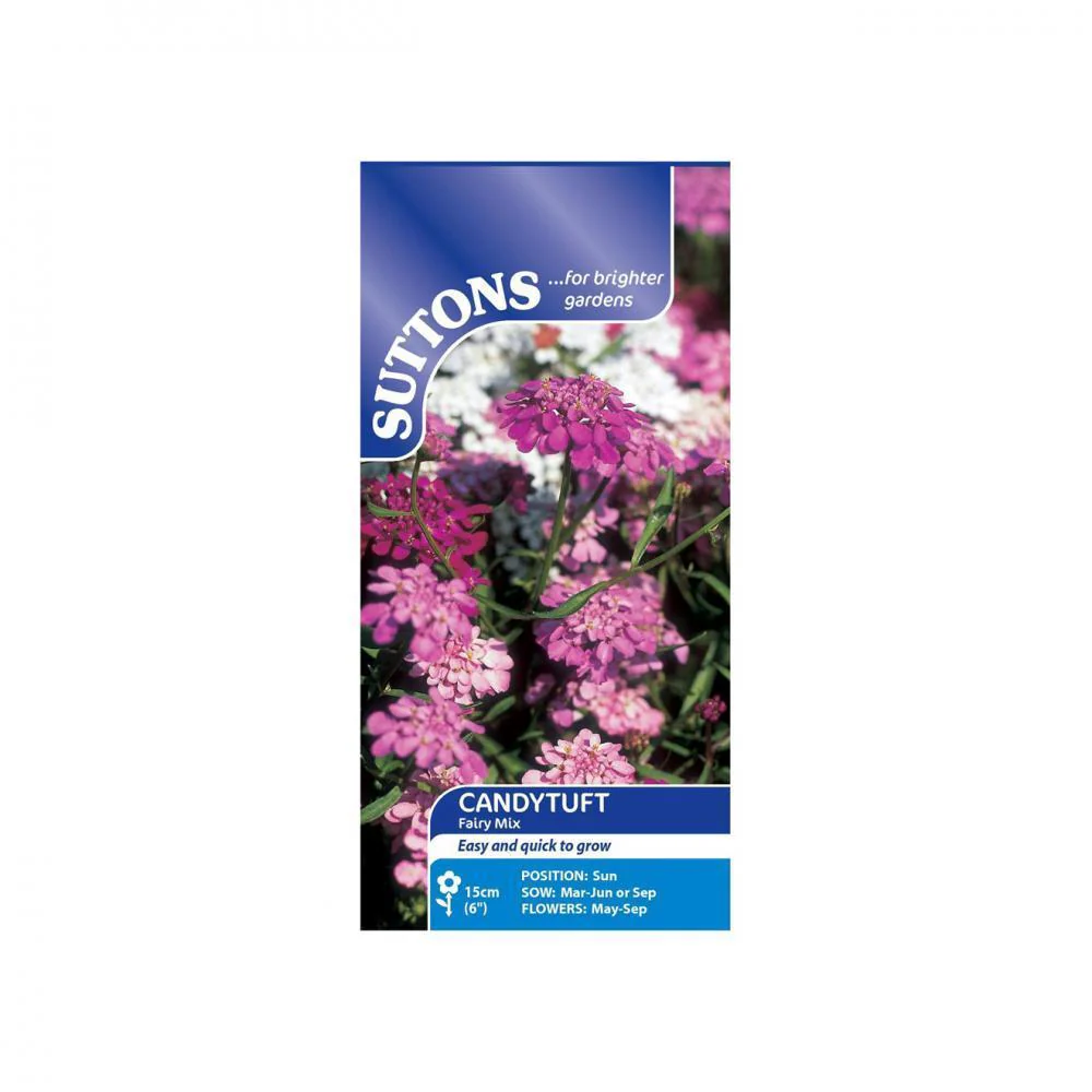 Suttons Candytuft Fairy Mix 107612