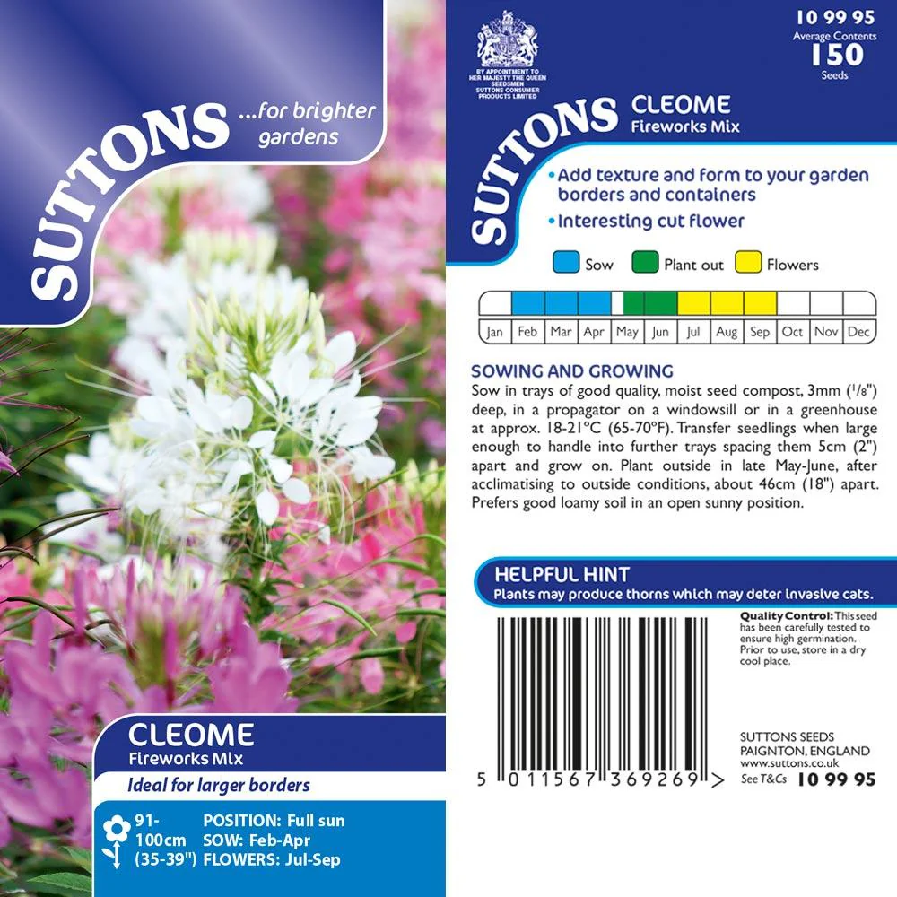 Suttons Cleome Fireworks Mix G109995