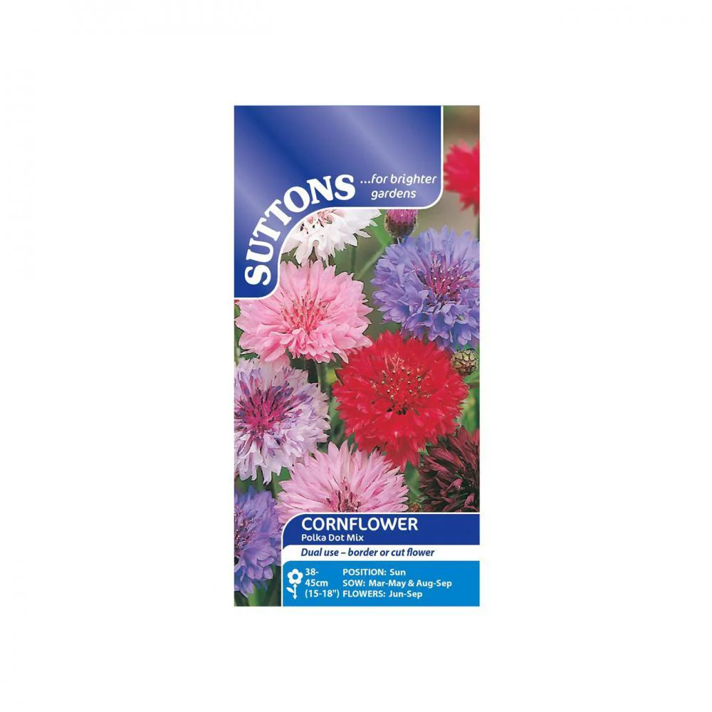 Suttons Cornflower Polka Dot Mixed 111192