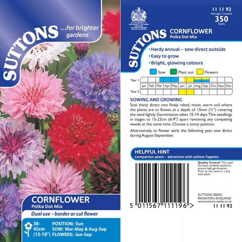 Suttons Cornflower Polka Dot Mixed 111192 - Image 2