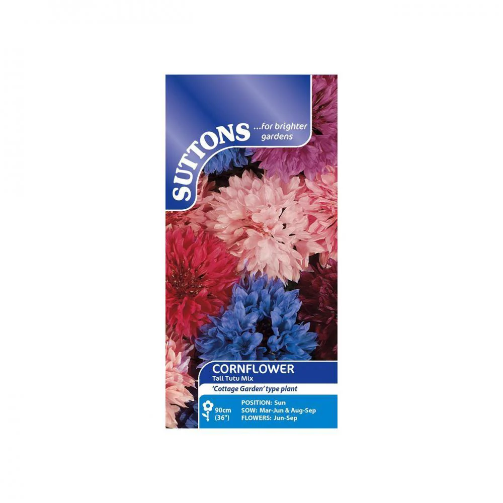 Suttons Cornflower Tall Tutu Mix Flower Seeds - Image 2