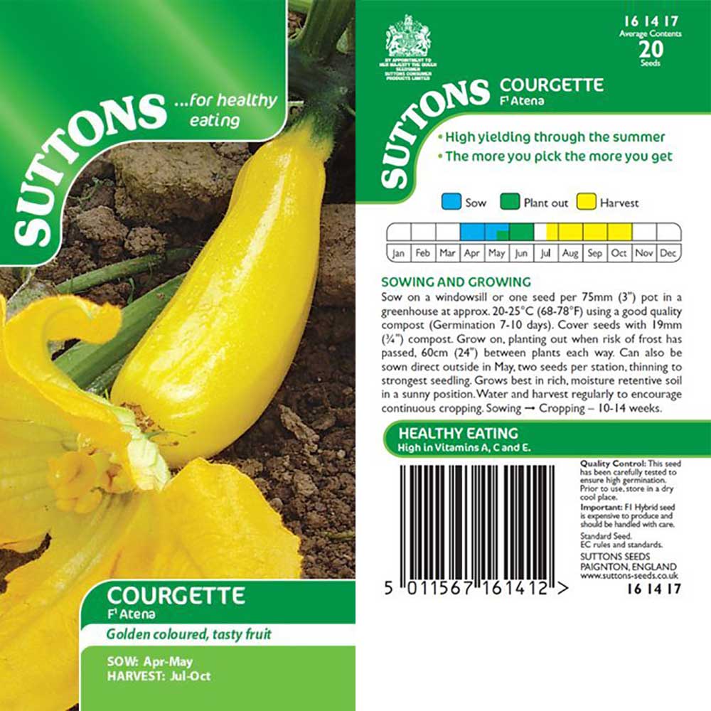 Suttons Courgette Atena F1 G161417 - Image 2