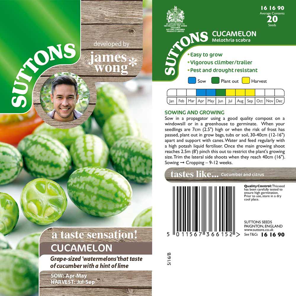 Suttons Cucamelon