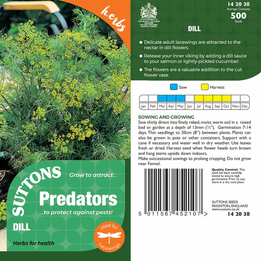 Suttons Dill Pp - Image 2