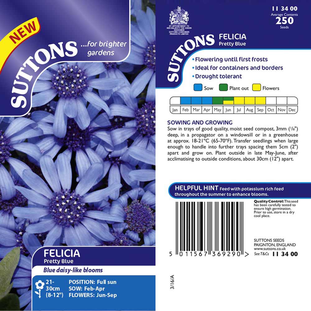 Suttons Felicia Pretty Blue G113400