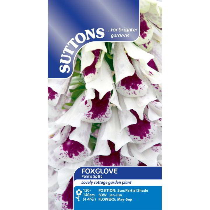 Suttons Foxglove Pams Split 113765